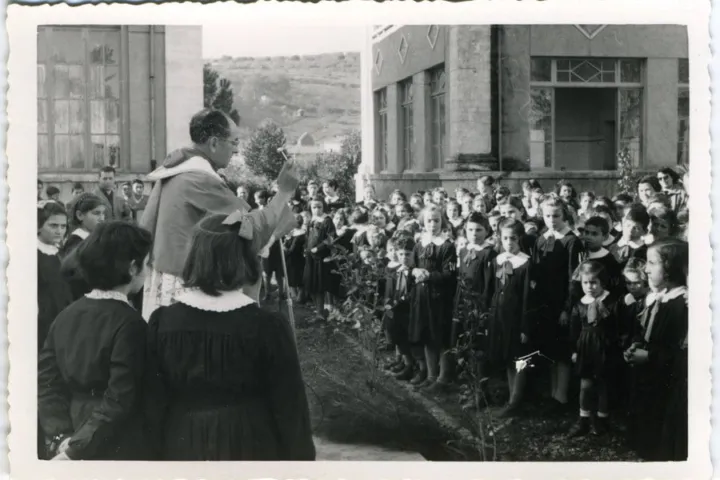 festa degli alberi