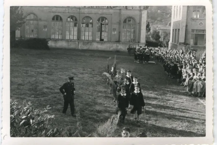 festa degli alberi
