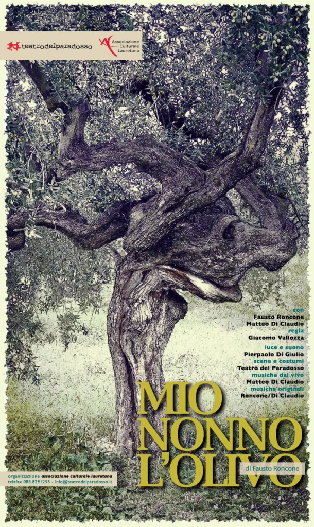 Mio nonno l'olivo