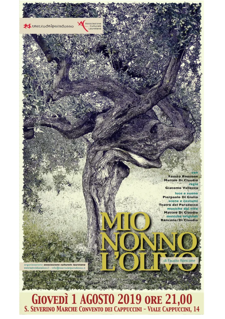 Mio nonno l'olivo - S. Severino Marche: miolivo s severino