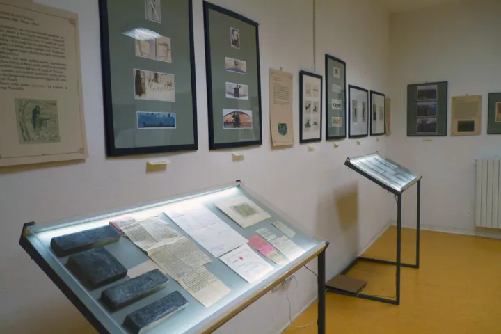 Mostre: mostra valentini (73 di 95)