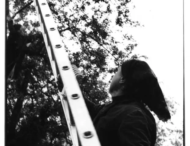 Pierpaolo Serini, fotografo: olive serini (2 di 10)