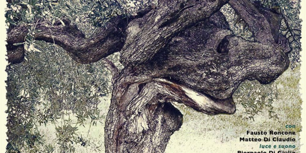 Mio nonno l’olivo